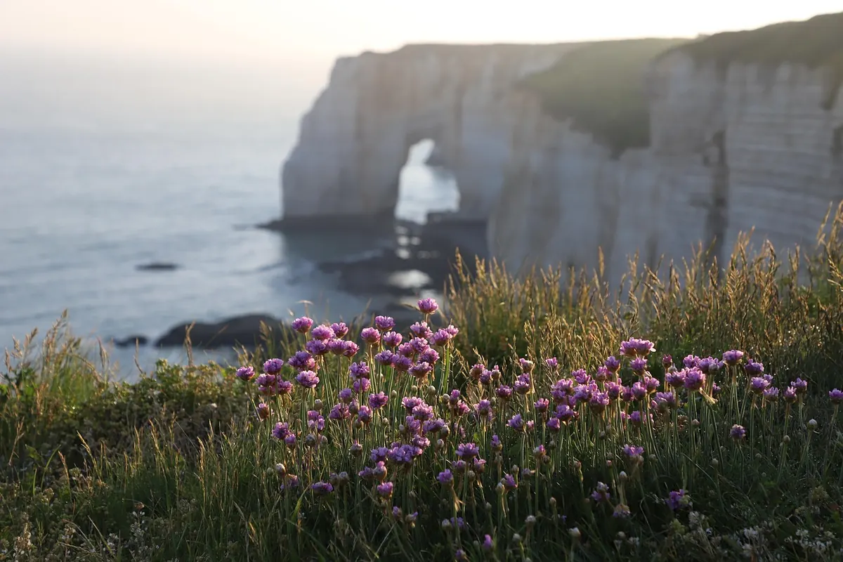 Seasonal Guide to Coastal Plant Surveying: What to Record Each Month